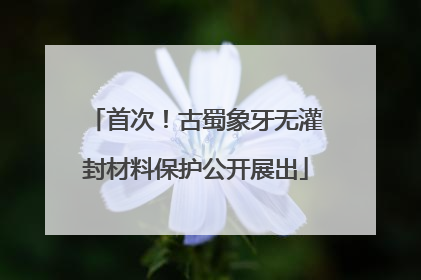 首次！古蜀象牙无灌封材料保护公开展出