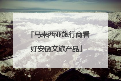 马来西亚旅行商看好安徽文旅产品