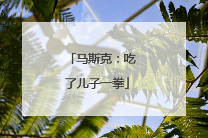 马斯克：吃了儿子一拳
