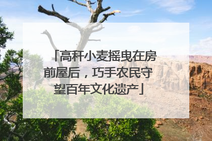 高秆小麦摇曳在房前屋后，巧手农民守望百年文化遗产