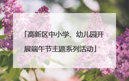 高新区中小学、幼儿园开展端午节主题系列活动