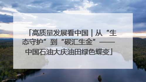 高质量发展看中国｜从“生态守护”到“碳汇生金”——中国石油大庆油田绿色蝶变