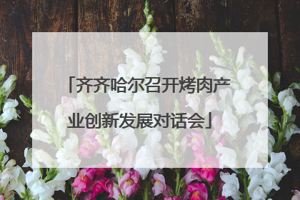 齐齐哈尔召开烤肉产业创新发展对话会