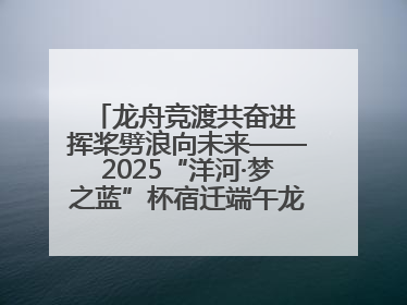 龙舟竞渡共奋进 挥桨劈浪向未来——2025“洋河·梦之蓝”杯宿迁端午龙舟赛侧记