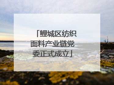 鲤城区纺织面料产业链党委正式成立