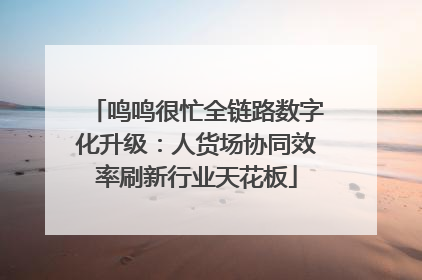 鸣鸣很忙全链路数字化升级：人货场协同效率刷新行业天花板