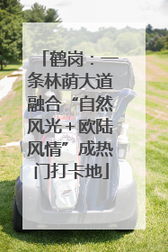 鹤岗：一条林荫大道融合“自然风光＋欧陆风情”成热门打卡地