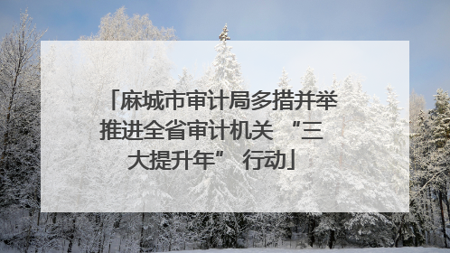 麻城市审计局多措并举推进全省审计机关 “三大提升年” 行动
