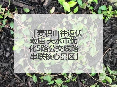 麦积山往返伏羲庙 天水市优化5路公交线路串联核心景区