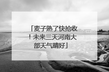 麦子熟了快抢收！未来三天河南大部天气晴好