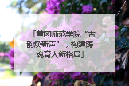 黄冈师范学院“古韵焕新声”，构建铸魂育人新格局