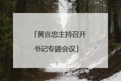 黄喜忠主持召开书记专题会议
