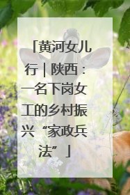 黄河女儿行｜陕西：一名下岗女工的乡村振兴“家政兵法”