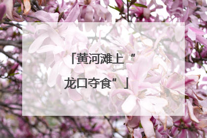 黄河滩上“龙口夺食”