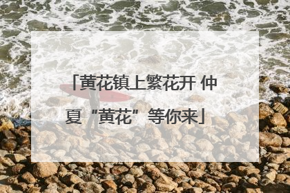 黄花镇上繁花开 仲夏“黄花”等你来