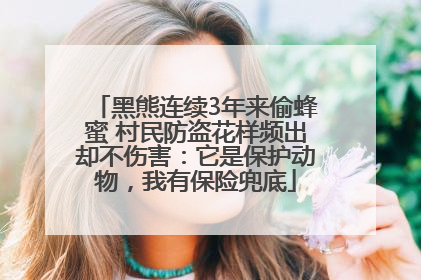黑熊连续3年来偷蜂蜜 村民防盗花样频出却不伤害：它是保护动物，我有保险兜底