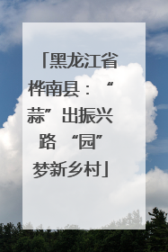 黑龙江省桦南县：“蒜”出振兴路 “园”梦新乡村