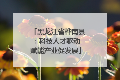 黑龙江省桦南县：科技人才驱动 赋能产业促发展
