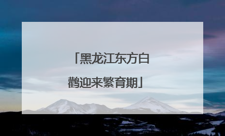 黑龙江东方白鹳迎来繁育期