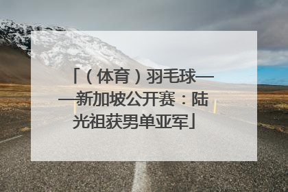 （体育）羽毛球——新加坡公开赛：陆光祖获男单亚军