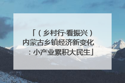 （乡村行·看振兴）内蒙古乡镇经济新变化：小产业累积大民生