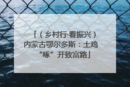 （乡村行·看振兴）内蒙古鄂尔多斯：土鸡“啄”开致富路