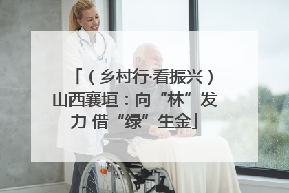 （乡村行·看振兴）山西襄垣：向“林”发力 借“绿”生金