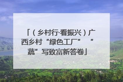 （乡村行·看振兴）广西乡村“绿色工厂” “蔬”写致富新答卷