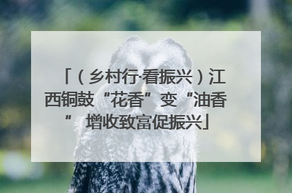 （乡村行·看振兴）江西铜鼓“花香”变“油香” 增收致富促振兴