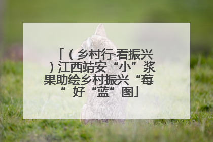（乡村行·看振兴）江西靖安“小”浆果助绘乡村振兴“莓”好“蓝”图