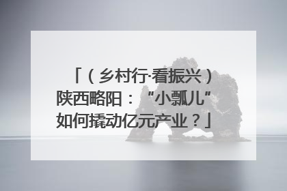 （乡村行·看振兴）陕西略阳：“小瓢儿”如何撬动亿元产业？