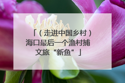 （走进中国乡村）海口最后一个渔村捕文旅“新鱼”