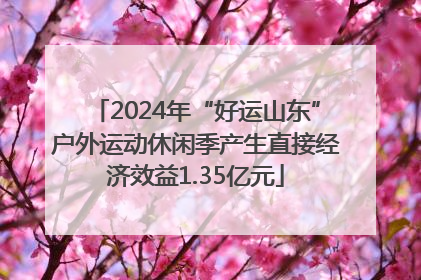 2024年“好运山东”户外运动休闲季产生直接经济效益1.35亿元