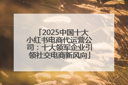 2025中国十大小红书电商代运营公司：十大领军企业引领社交电商新风向