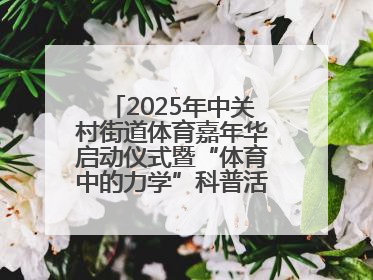 2025年中关村街道体育嘉年华启动仪式暨“体育中的力学”科普活动举行