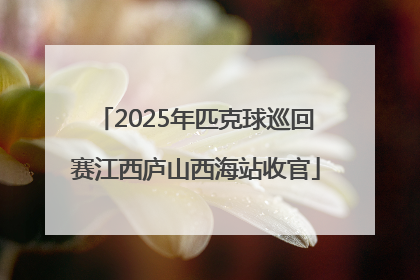 2025年匹克球巡回赛江西庐山西海站收官