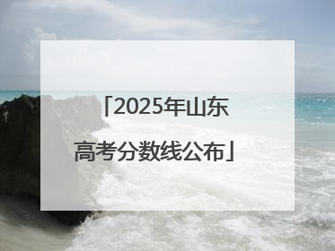 2025年山东高考分数线公布