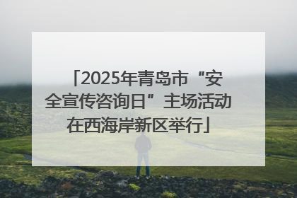 2025年青岛市“安全宣传咨询日”主场活动在西海岸新区举行