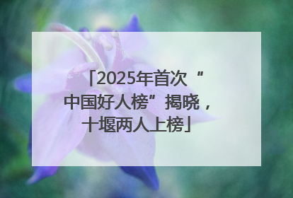 2025年首次“中国好人榜”揭晓，十堰两人上榜