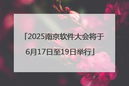 2025南京软件大会将于6月17日至19日举行
