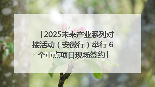 2025未来产业系列对接活动（安徽行）举行 6个重点项目现场签约