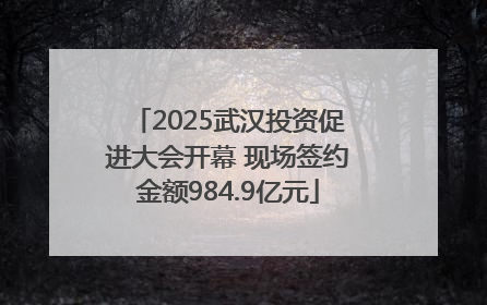 2025武汉投资促进大会开幕 现场签约金额984.9亿元