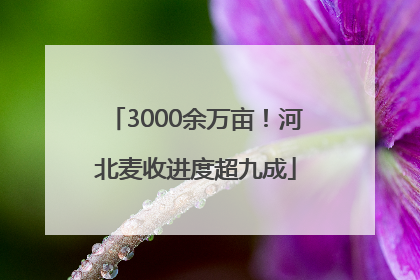 3000余万亩！河北麦收进度超九成