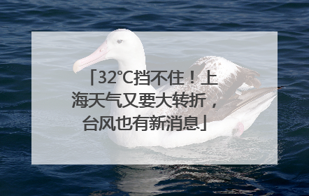 32℃挡不住！上海天气又要大转折，台风也有新消息