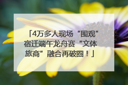 4万多人现场“围观” 宿迁端午龙舟赛“文体旅商”融合再破圈！