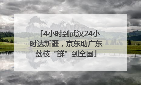 4小时到武汉24小时达新疆，京东助广东荔枝“鲜”到全国