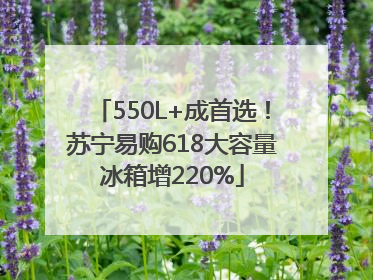 550L+成首选！苏宁易购618大容量冰箱增220%