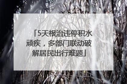 5天根治违停积水顽疾，多部门联动破解居民出行难题