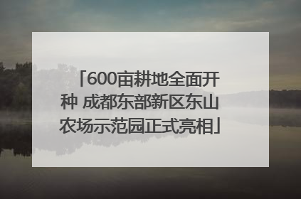600亩耕地全面开种 成都东部新区东山农场示范园正式亮相