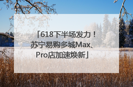 618下半场发力！苏宁易购多城Max、Pro店加速焕新